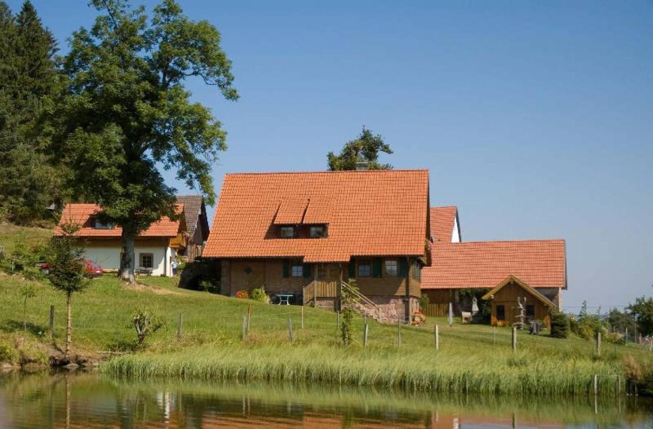 Ferienhof Kienbronnerhof Schiltach Bagian luar foto