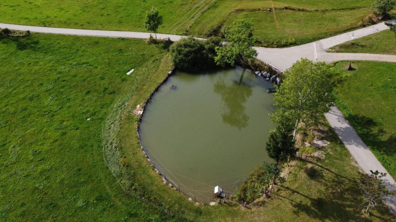Ferienhof Kienbronnerhof Schiltach Bagian luar foto