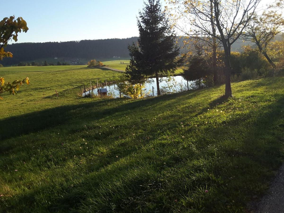 Ferienhof Kienbronnerhof Schiltach Bagian luar foto